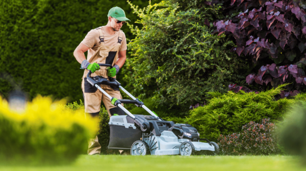 Landscaping & Garden Maintenance - Imagen 3